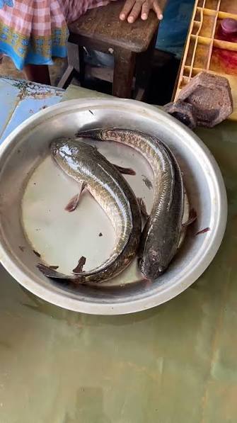 Fresh Korraminu Fishes